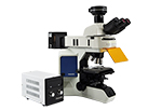 荧光生物显微镜 MF43-M