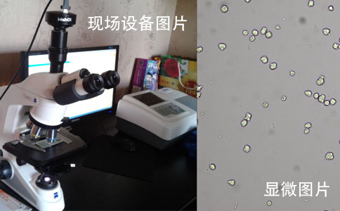 ֳ豸ͼ